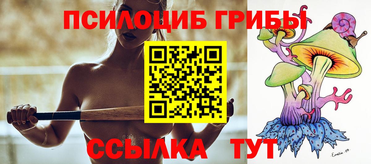 что такое наркотик  Псилоцибиновые грибы мицелий  Вход с VPN  Таганрог 